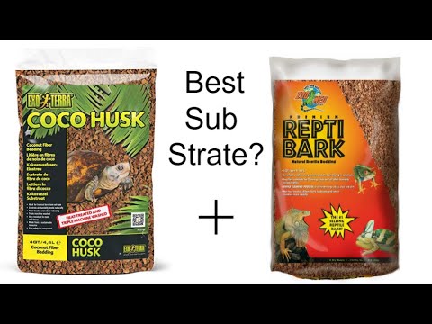 The Best Box Turtle Substrate? | Box Turtle Tuesday