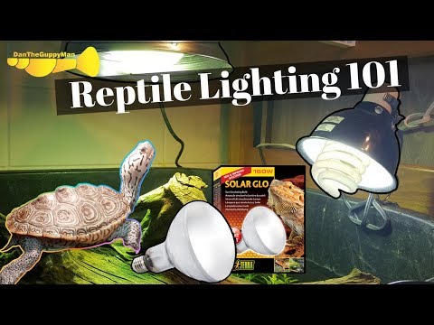 ULTIMATE Turtle/Tortoise Light and Heating Guide