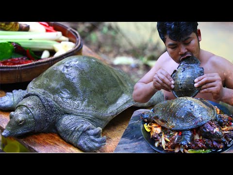 {Graphic} Soft Shell Turtle Clean - Cooking soft Shell Turtle Tasty Food in Asian Culture Recipe