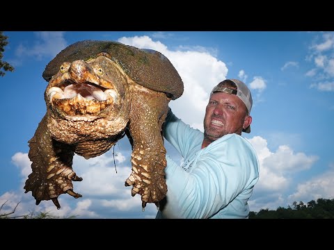 VERY SCARY TURTLE {Catch Clean Cook} snapping Turtle that’s fast as Lightning!