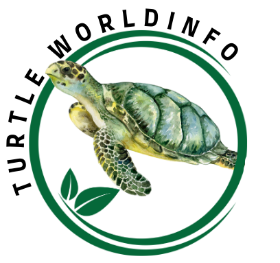 Turtle Worldinfo